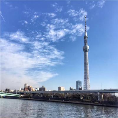 原野之息官方版下载