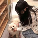异界地下城游戏下载